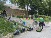 903627 Afbeelding van medewerkers van Vergroening Singel 030 tijdens het onderhouden en opnieuw beplanten van het ...